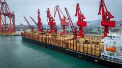 年加工能力达600万立